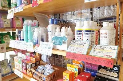 シャンプー②