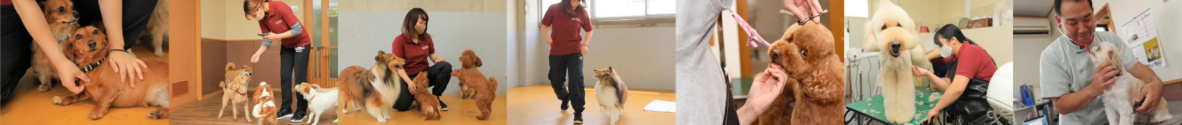 ウィズ・ドッグ