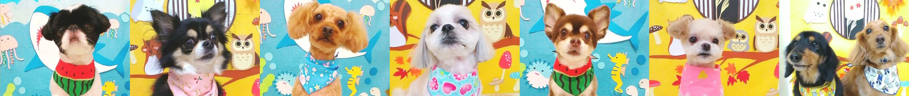 トリミングギャラリー