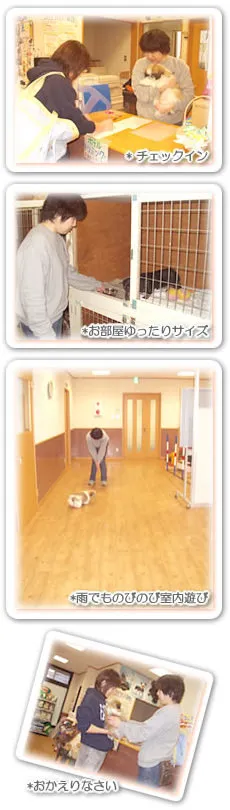 ご利用の流れ