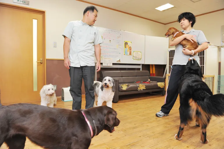 お客様へ、そして一緒に働こうとお考えの皆様へ…代表ご挨拶に代えて