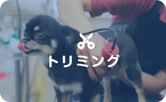 トリミング