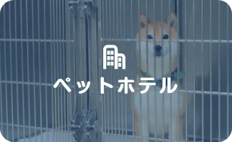 ペットホテル