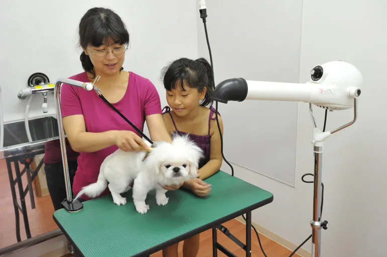 お困りごとの多いお家でのシャンプータイム